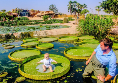 Crocoparc Agadir & Botanical Gardens Tour