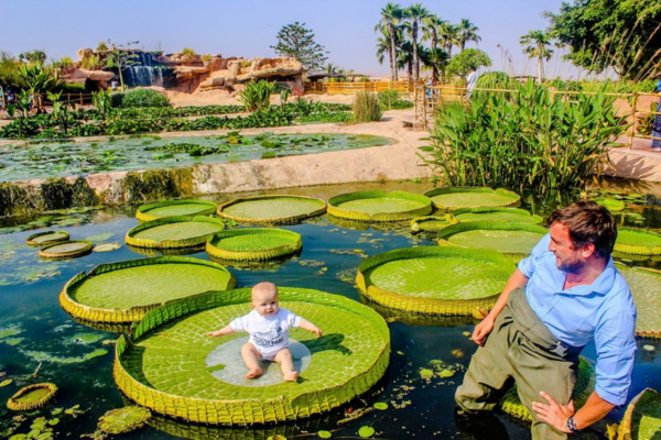 Crocoparc Agadir & Botanical Gardens Tour