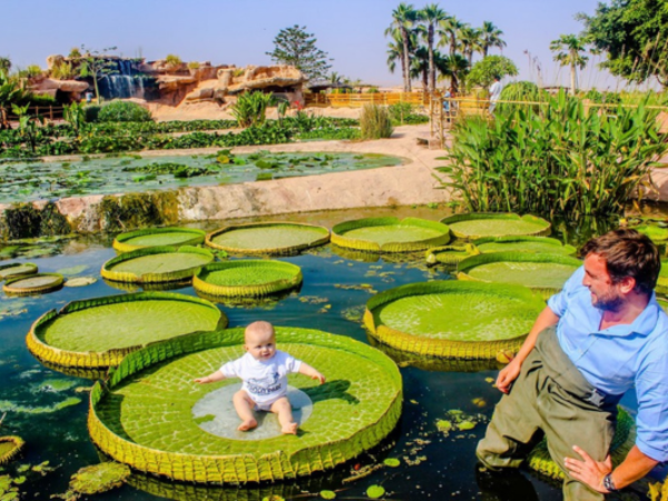 Crocoparc Agadir & Botanical Gardens Tour