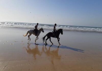 Horseback Riding in Agadir: Eucalyptus Forest & Flamingos