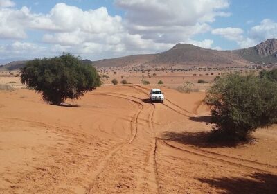 Massa 4×4 Desert & Nature Excursion from Agadir