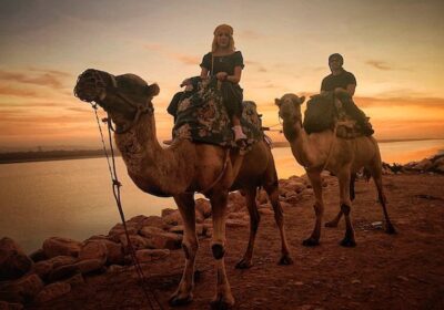 Camel Ride Experience in Agadir