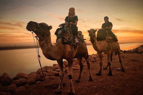 Camel Ride Experience in Agadir