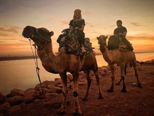 Camel Ride Experience in Agadir