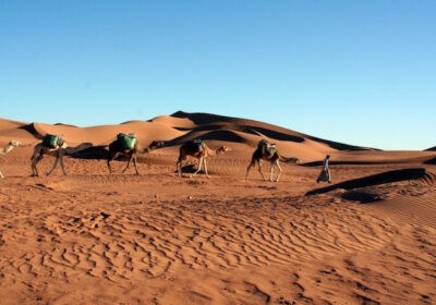 2-Day Desert Tour from Agadir to Zagora