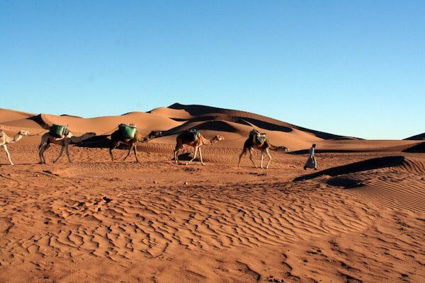 2-Day Desert Tour from Agadir to Zagora