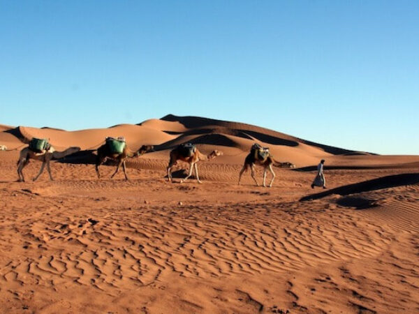 2-Day Desert Tour from Agadir to Zagora